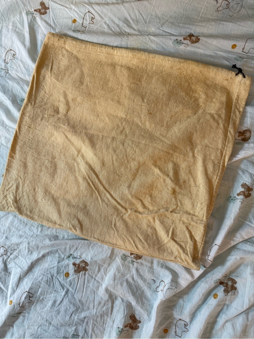 Etro Beige Dust Bag with Black Logo - Picture 5 of 6